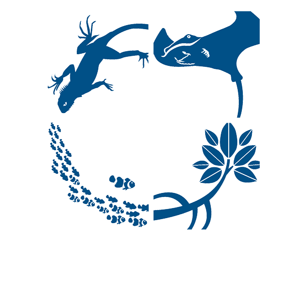 Aquarium of Boise