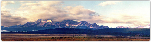 Association of Fundraising Professionals, Idaho Chapter