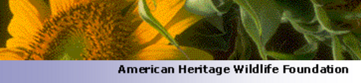 American Heritage Wildlife Foundation