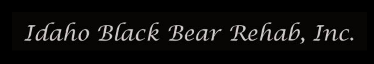 Idaho Black Bear Rehab