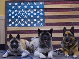 Guardian Paws Service Dogs